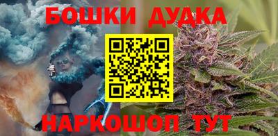 мдпв Гай