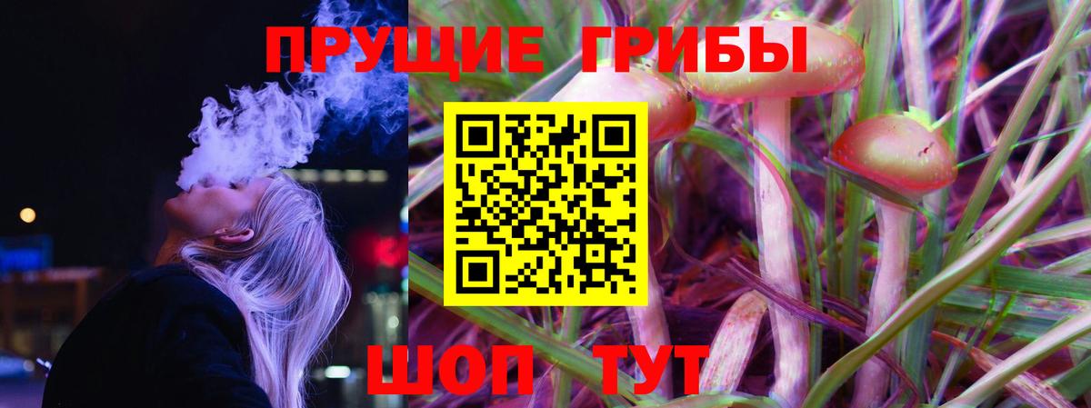 Галлюциногенные грибы GOLDEN TEACHER Кимры